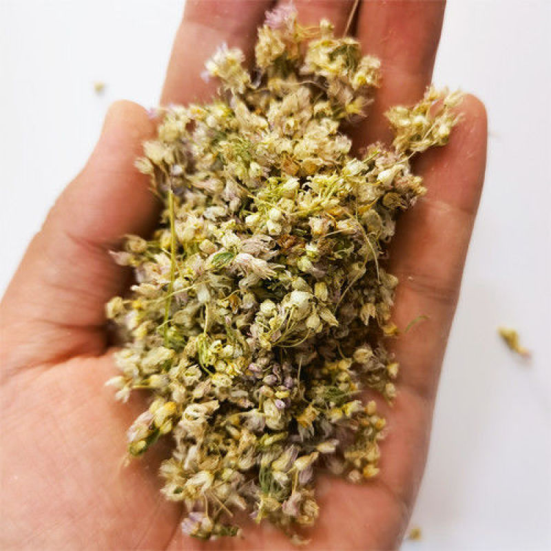 新货摘麻花农家干葱花摘蒙花摘麻麻花野葱花精瓶装炝锅