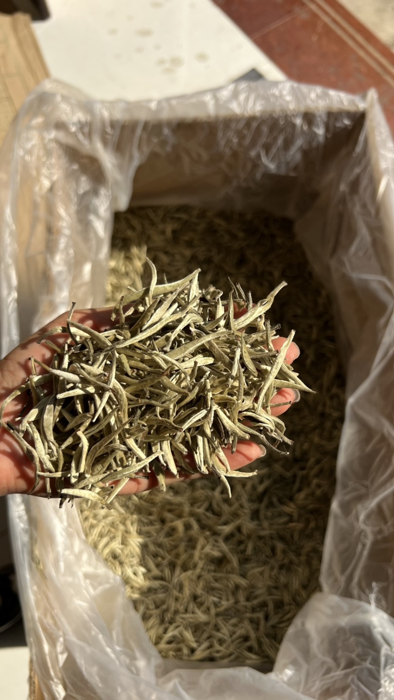 云南～白毫银针茶/1年茶3年药7年宝，收藏🈵️