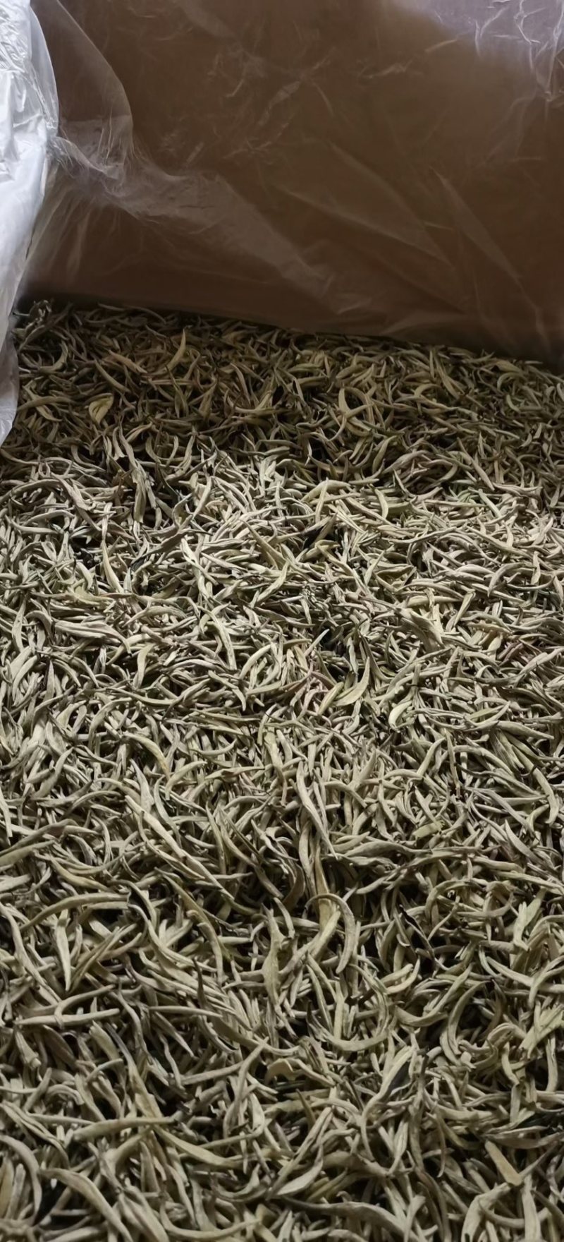 云南～白毫银针茶/1年茶3年药7年宝，收藏🈵️