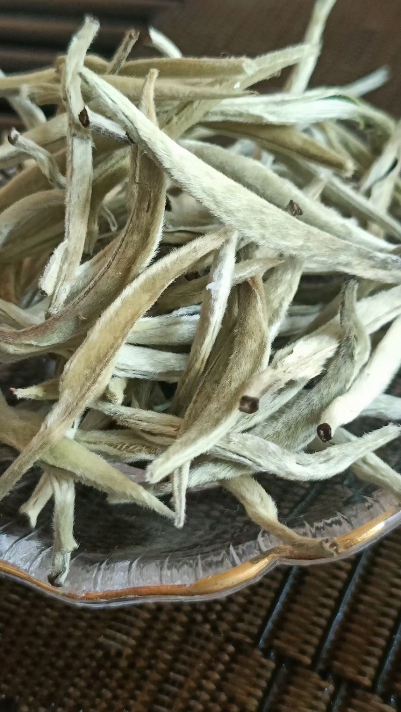 云南～白毫银针茶/1年茶3年药7年宝，收藏🈵️