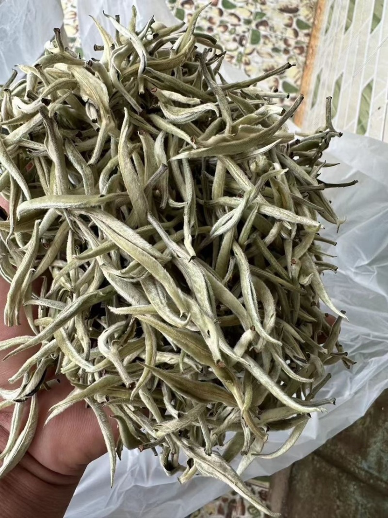 云南～白毫银针茶/1年茶3年药7年宝，收藏🈵️