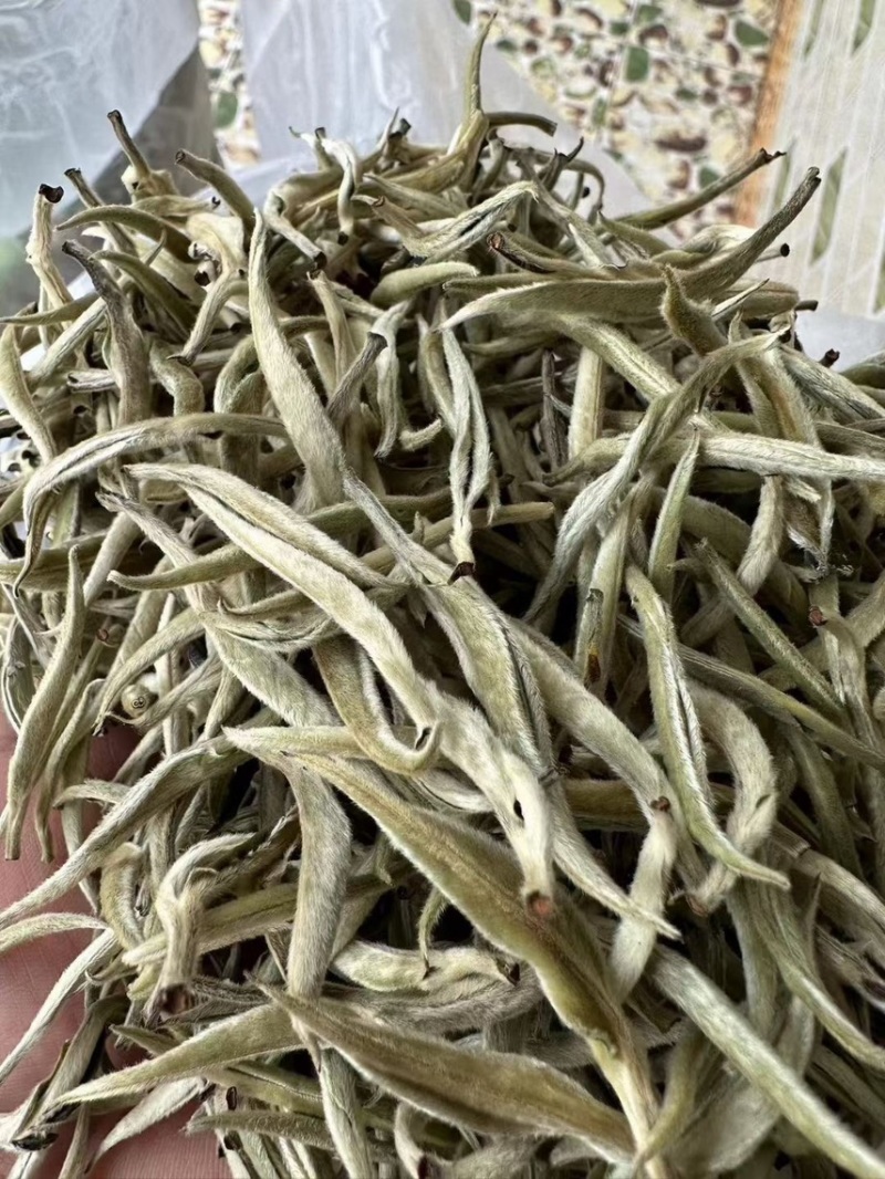 云南～白毫银针茶/1年茶3年药7年宝，收藏🈵️