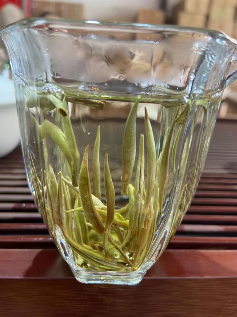 云南～白毫银针茶/1年茶3年药7年宝，收藏🈵️