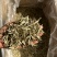 云南～白毫银针茶/1年茶3年药7年宝，收藏🈵️