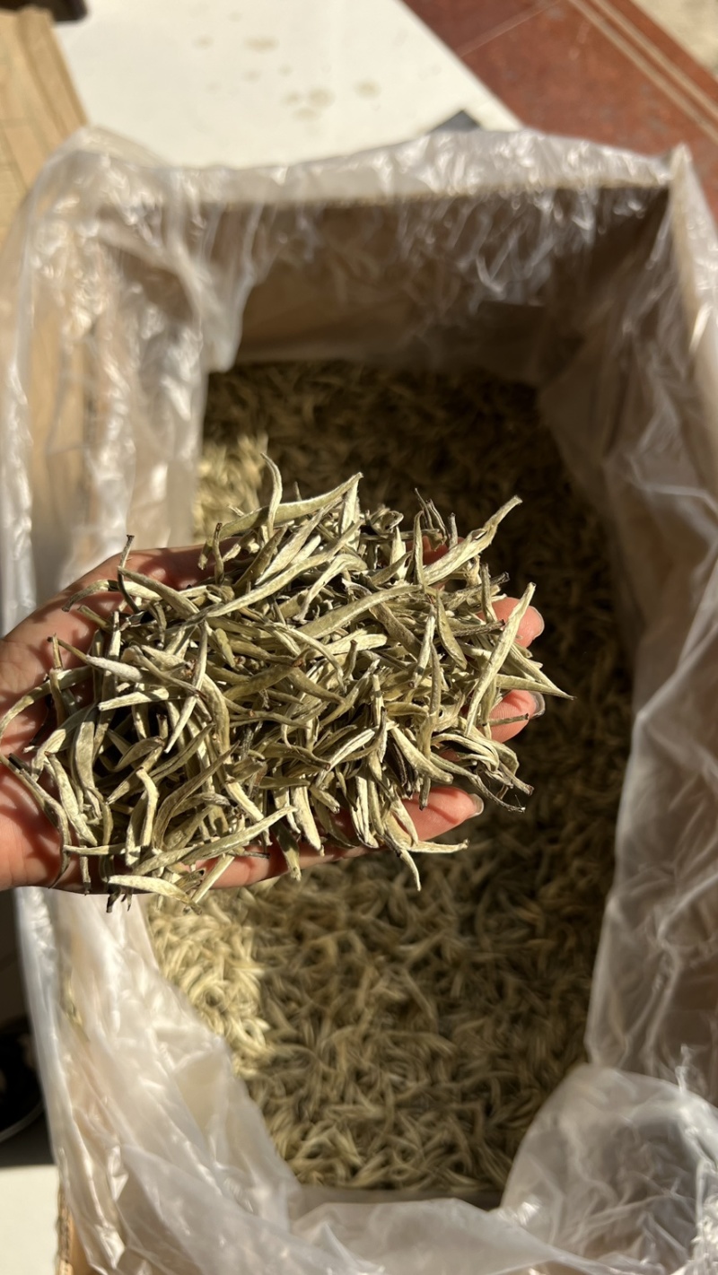 云南～白毫银针茶/1年茶3年药7年宝，收藏🈵️