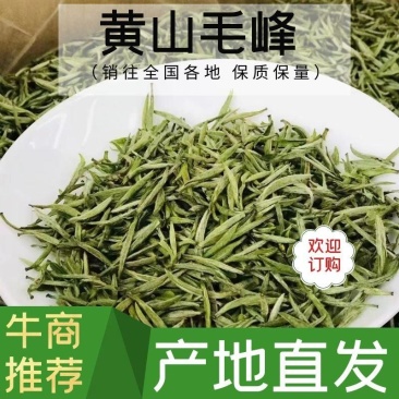 【黄山毛峰】清明前采摘高山云雾毛峰价格可谈