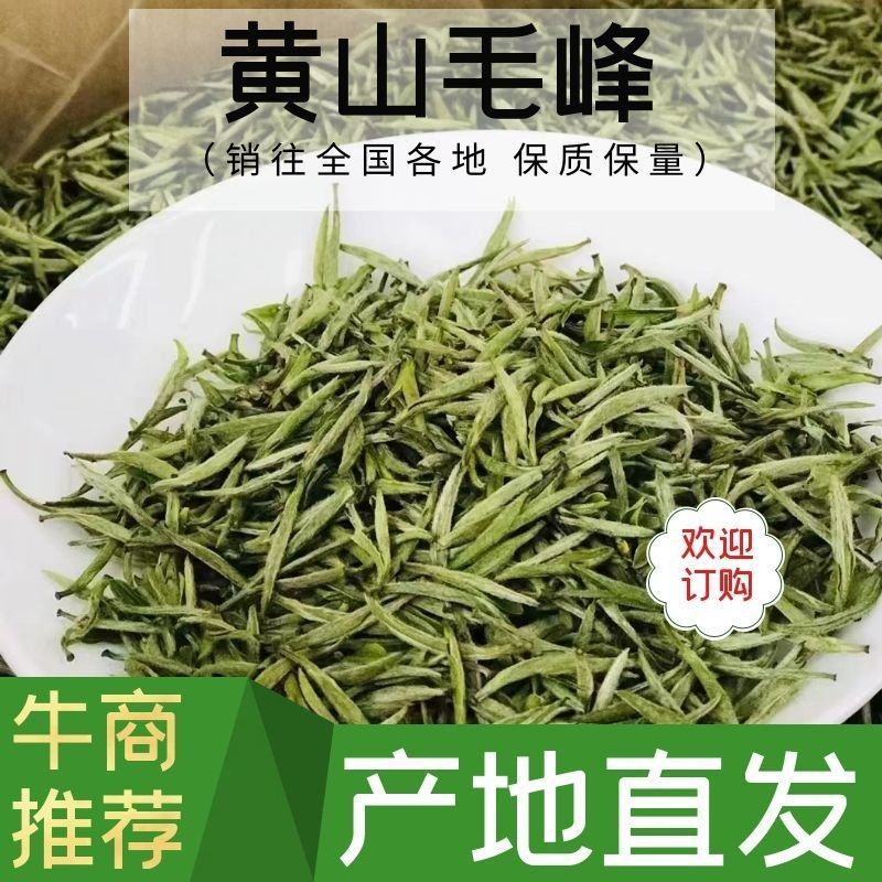 【黄山毛峰】清明前采摘高山云雾毛峰价格可谈
