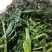 东北咸菜芥菜英子咸菜炖豆腐好吃芥菜英子包邮