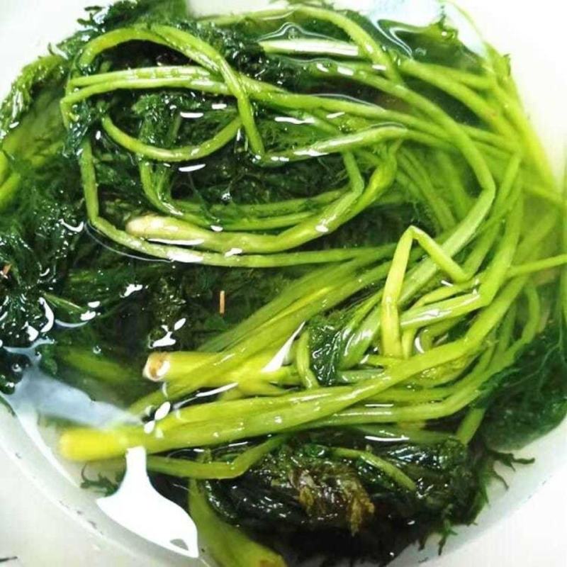 东北咸菜芥菜英子咸菜炖豆腐好吃芥菜英子包邮