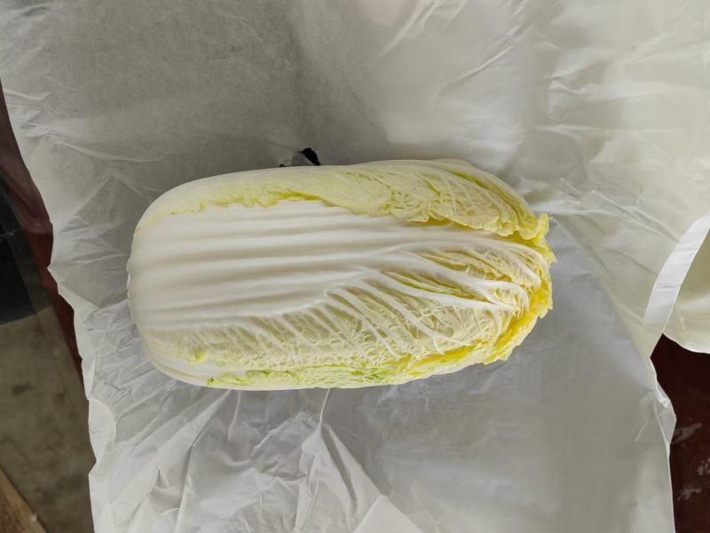 娃娃菜小娃娃菜大娃娃菜各种精品包装常年供应市场