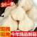 糖醋蒜1500克糖蒜泡菜腌泡大蒜头山东金乡甜蒜自制农家咸