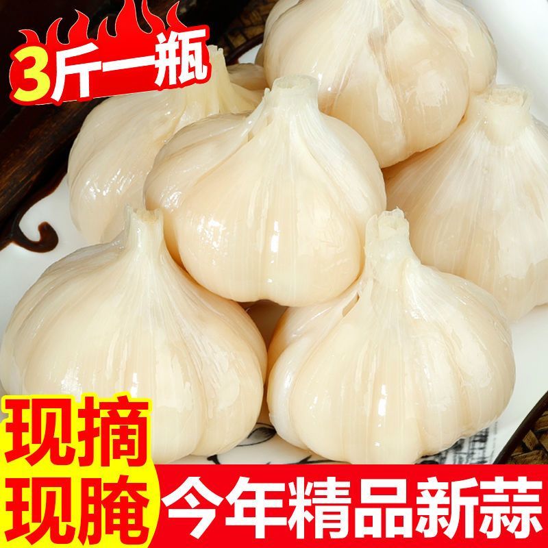 糖醋蒜1500克糖蒜泡菜腌泡大蒜头山东金乡甜蒜自制农家咸