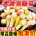 【包邮】泡藕芽湖北特产洪湖泡椒酸辣藕带头藕尖开袋即食整箱