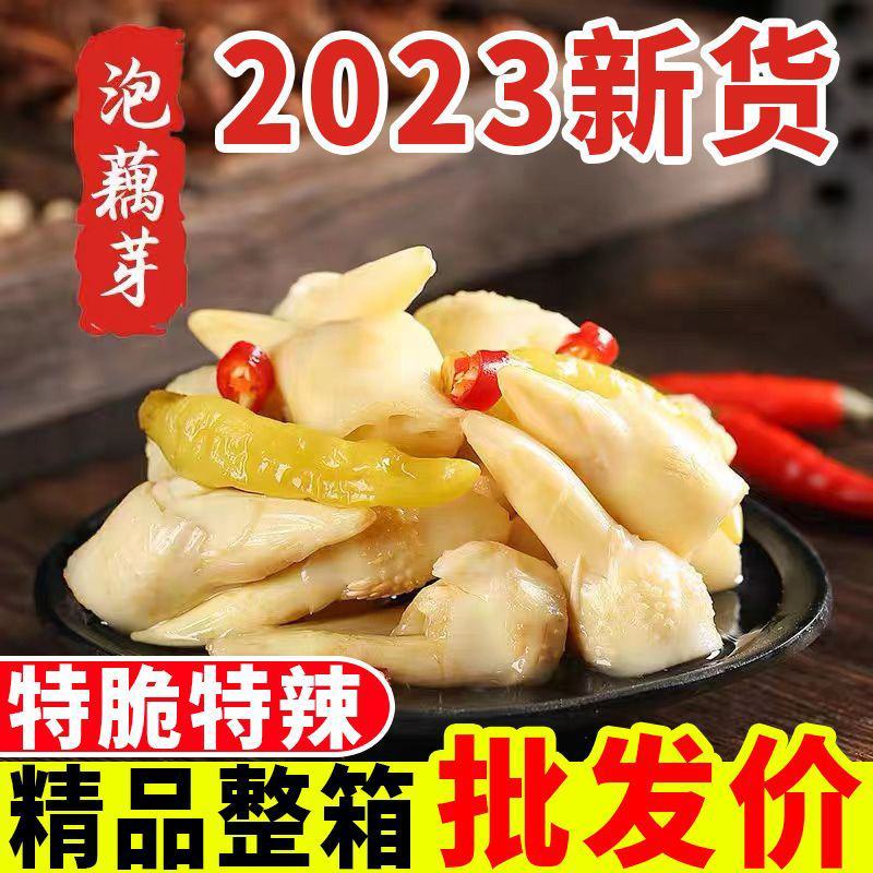 【包邮】泡藕芽湖北特产洪湖泡椒酸辣藕带头藕尖开袋即食整箱