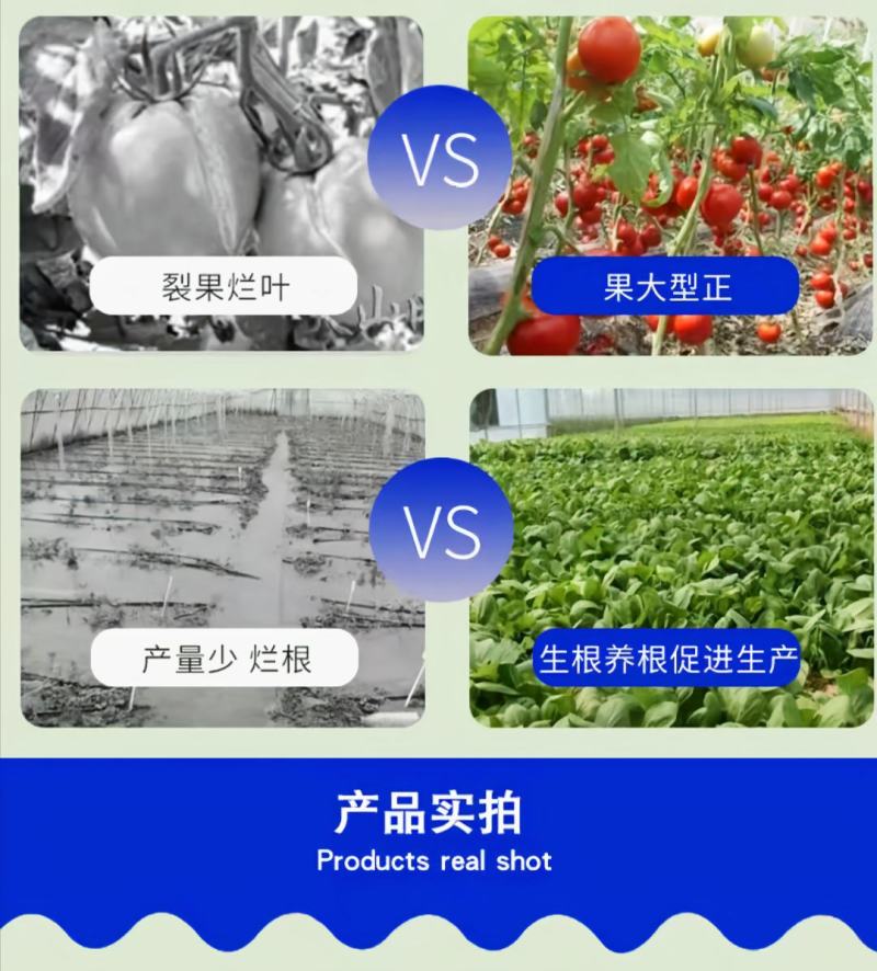 海藻鱼蛋白冲施桶装肥平衡型水溶肥有机肥甲壳素海藻肥有机肥
