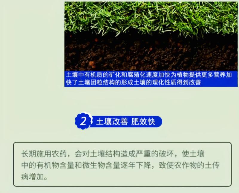 海藻鱼蛋白冲施桶装肥平衡型水溶肥有机肥甲壳素海藻肥有机肥