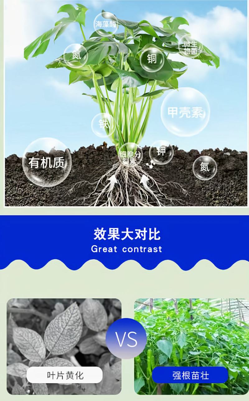 海藻鱼蛋白冲施桶装肥平衡型水溶肥有机肥甲壳素海藻肥有机肥