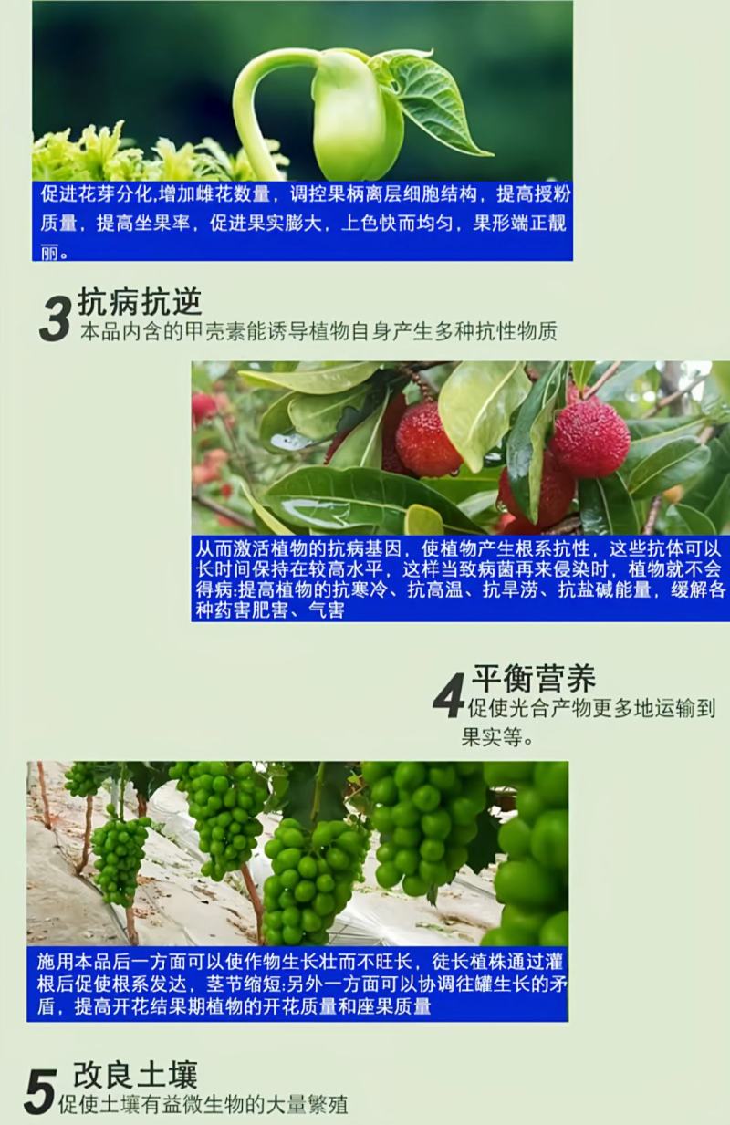 海藻鱼蛋白冲施桶装肥平衡型水溶肥有机肥甲壳素海藻肥有机肥