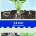 鱼蛋白海藻肥甲壳素黄腐酸钾冲施肥桶装水溶平衡型冲施水溶肥