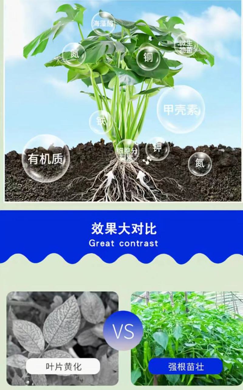 鱼蛋白海藻肥甲壳素黄腐酸钾冲施肥桶装水溶平衡型冲施水溶肥