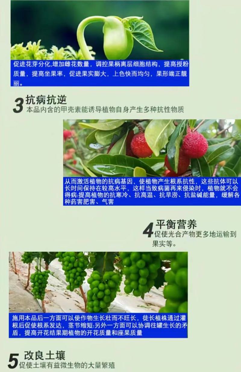 鱼蛋白海藻肥甲壳素黄腐酸钾冲施肥桶装水溶平衡型冲施水溶肥
