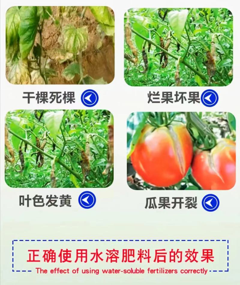 鱼蛋白海藻肥甲壳素黄腐酸钾冲施肥桶装水溶平衡型冲施水溶肥