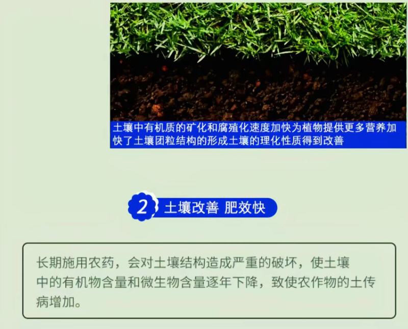 鱼蛋白海藻肥甲壳素黄腐酸钾冲施肥桶装水溶平衡型冲施水溶肥