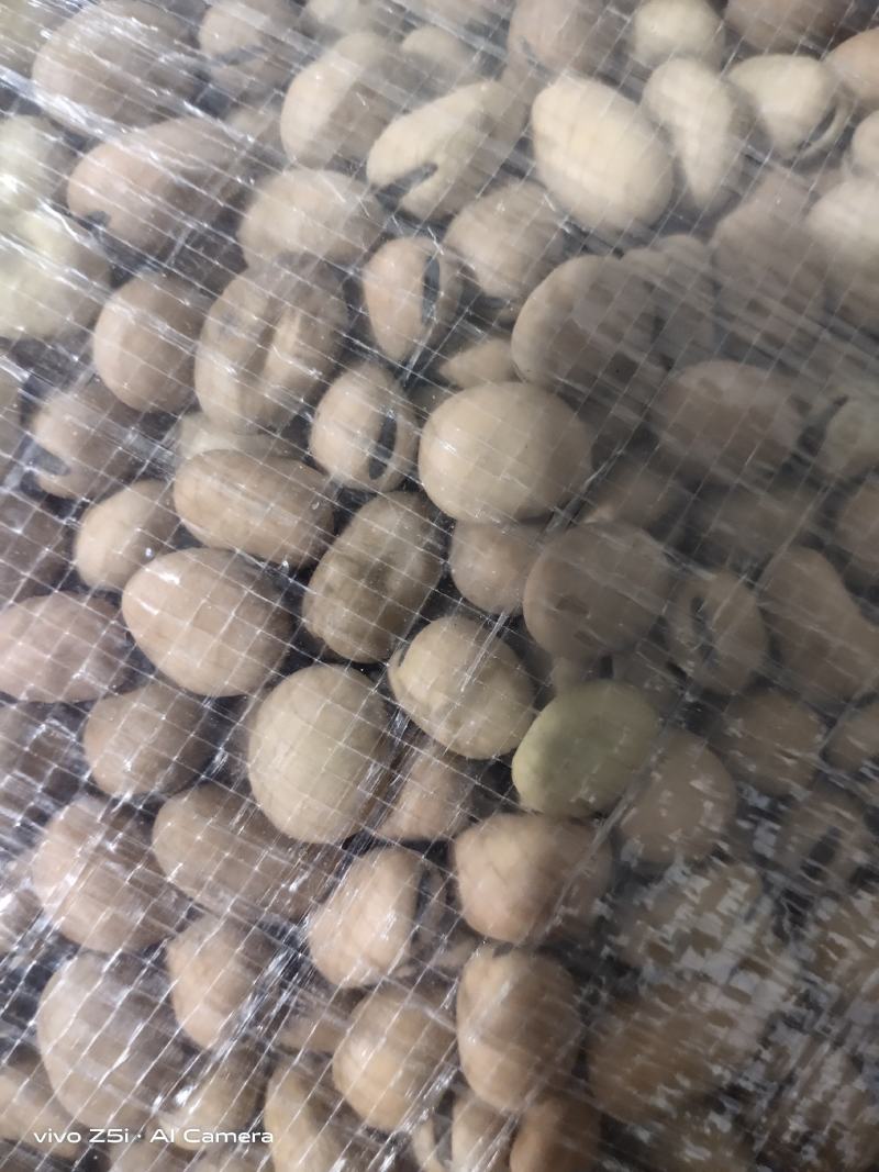 精选蚕豆