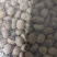 精选蚕豆