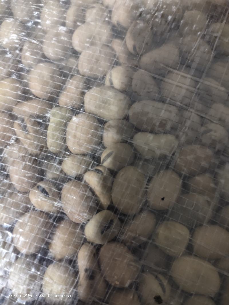 精选蚕豆