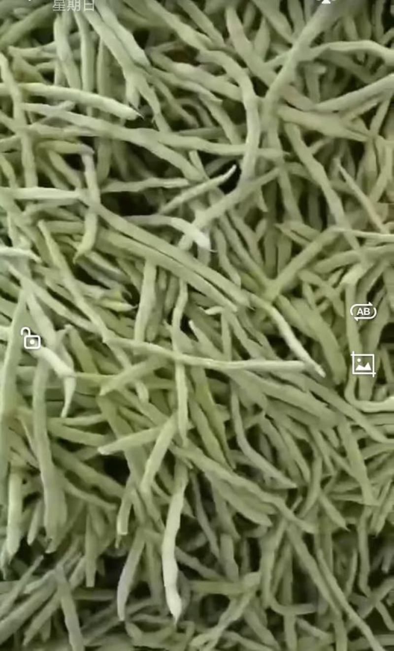蔬菜产地精品蔬菜