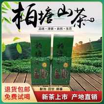 柏塘山茶春季广东惠州博罗客家特产直销散装手工山茶