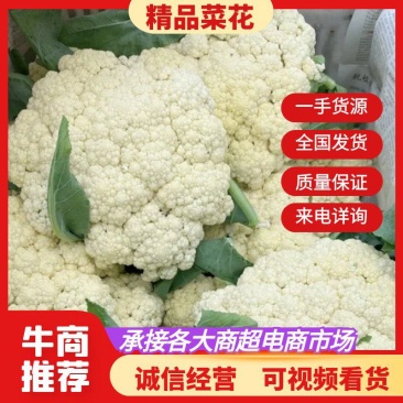 山东郯城县菜花，松花菜大量上市了，产地一手货，货源充足