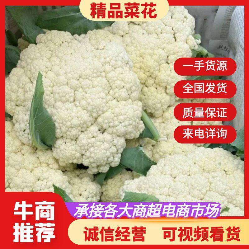 山东郯城县菜花，松花菜大量上市了，产地一手货，货源充足