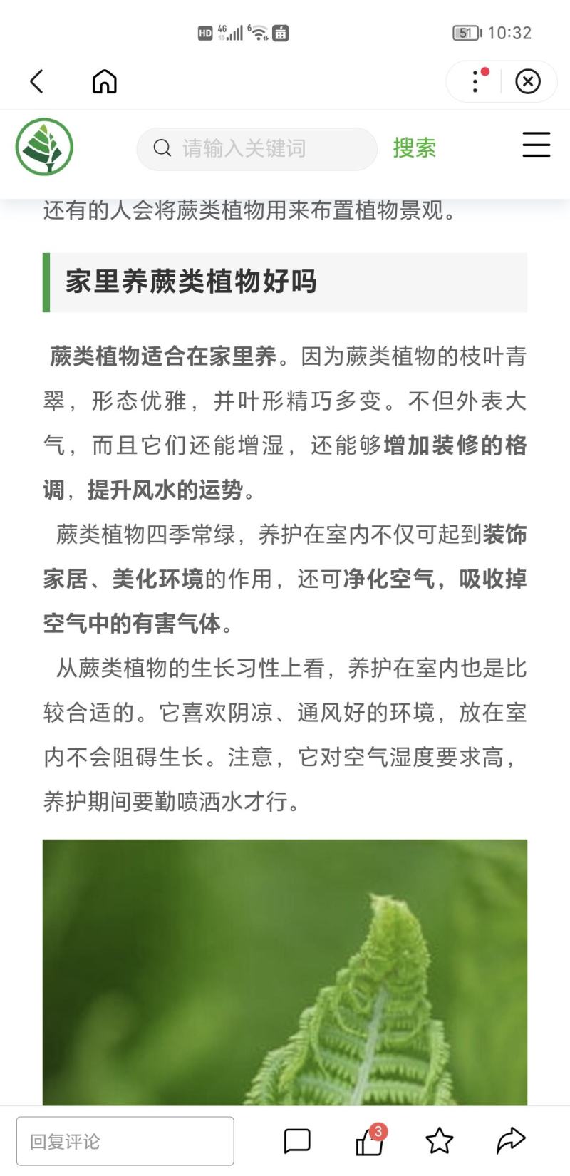 蕨类，荚果蕨，铁线蕨，掌叶蕨，盆栽，庭院绿化耐寒