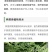 蕨类，荚果蕨，铁线蕨，掌叶蕨，盆栽，庭院绿化耐寒