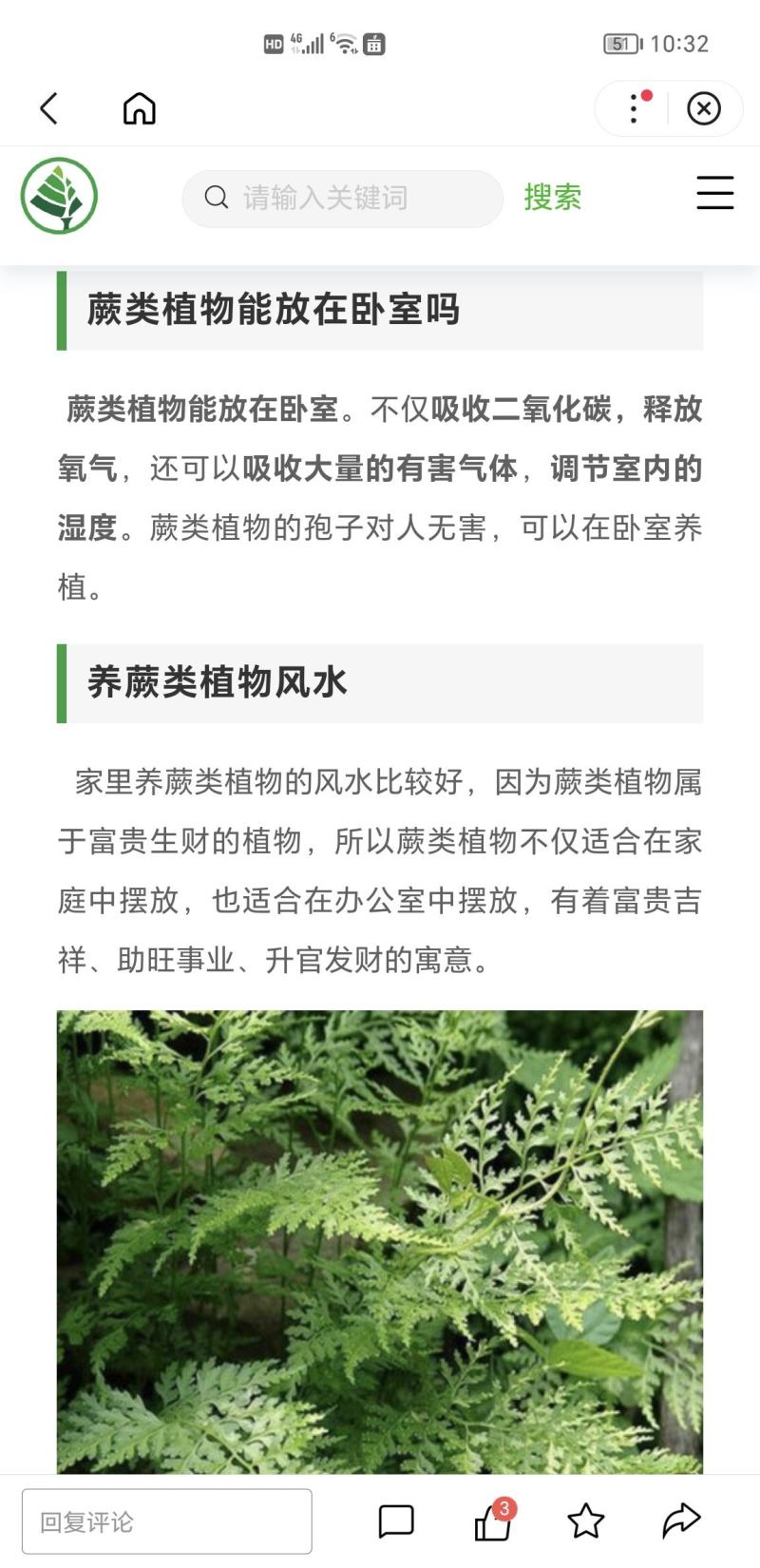 蕨类，荚果蕨，铁线蕨，掌叶蕨，盆栽，庭院绿化耐寒