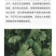 蕨类，荚果蕨，铁线蕨，掌叶蕨，盆栽，庭院绿化耐寒