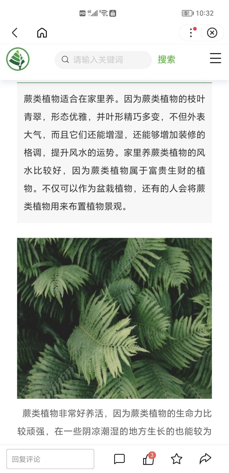 蕨类，荚果蕨，铁线蕨，掌叶蕨，盆栽，庭院绿化耐寒