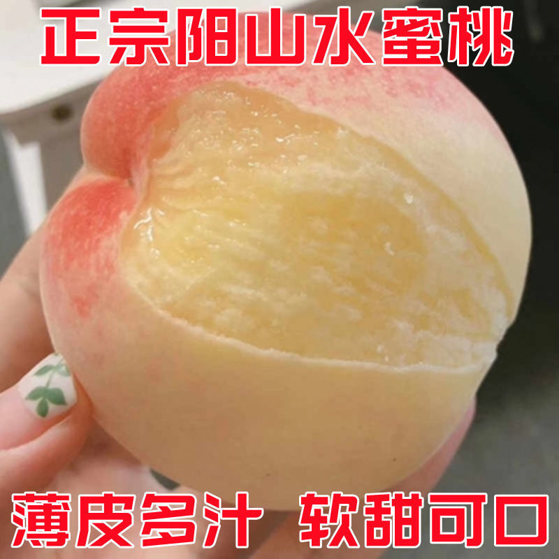阳山水蜜桃、薄皮多汁、软甜可口，多汁产量、包技术指导