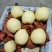 隰县酥梨