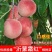 沂蒙霜红桃树、个头大，晚熟品种，抗冻、口感脆甜