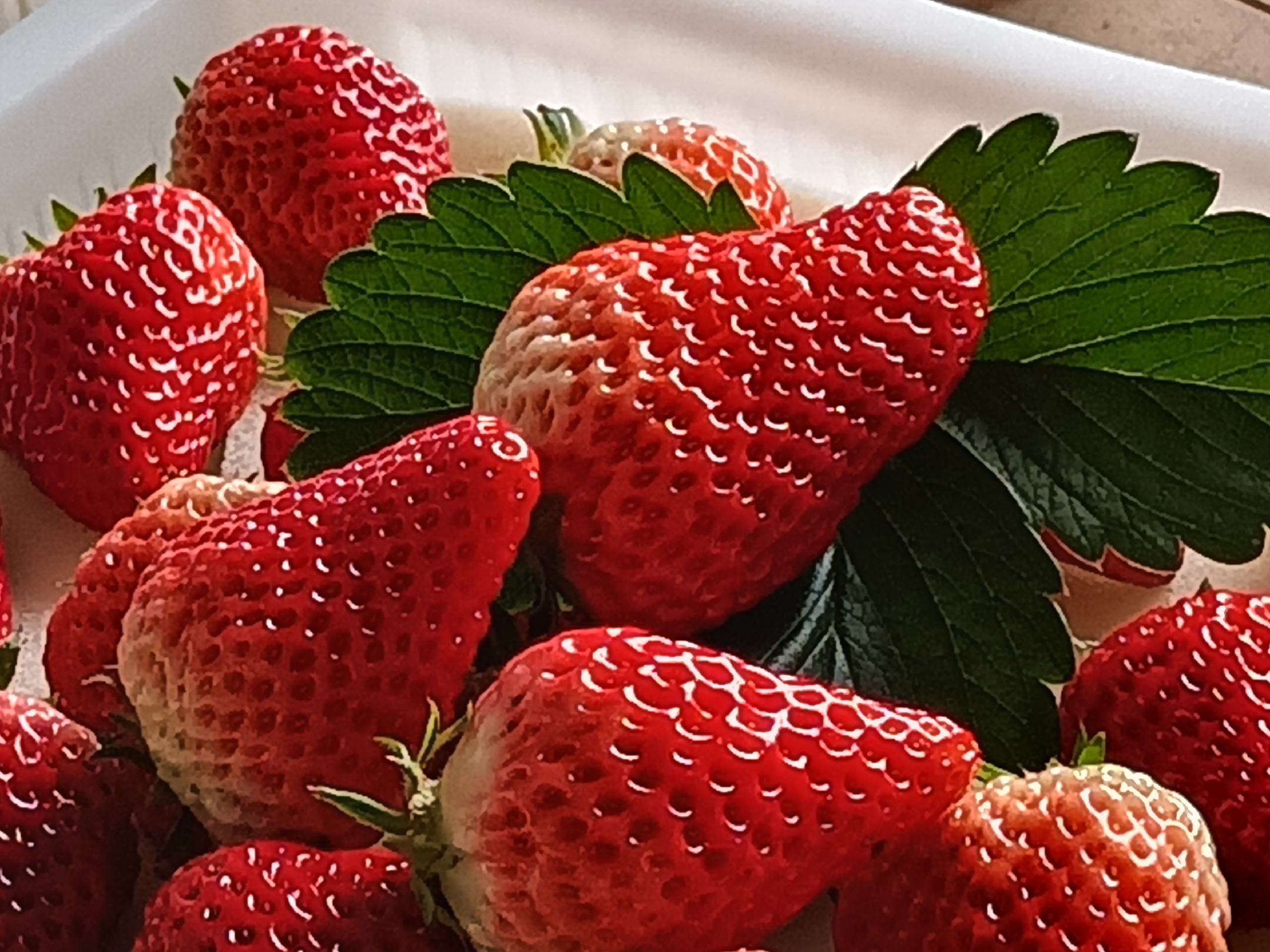 图示展示草莓舌的临床表现,舌头表面呈颗粒状,颜色鲜红 草莓舌示意图