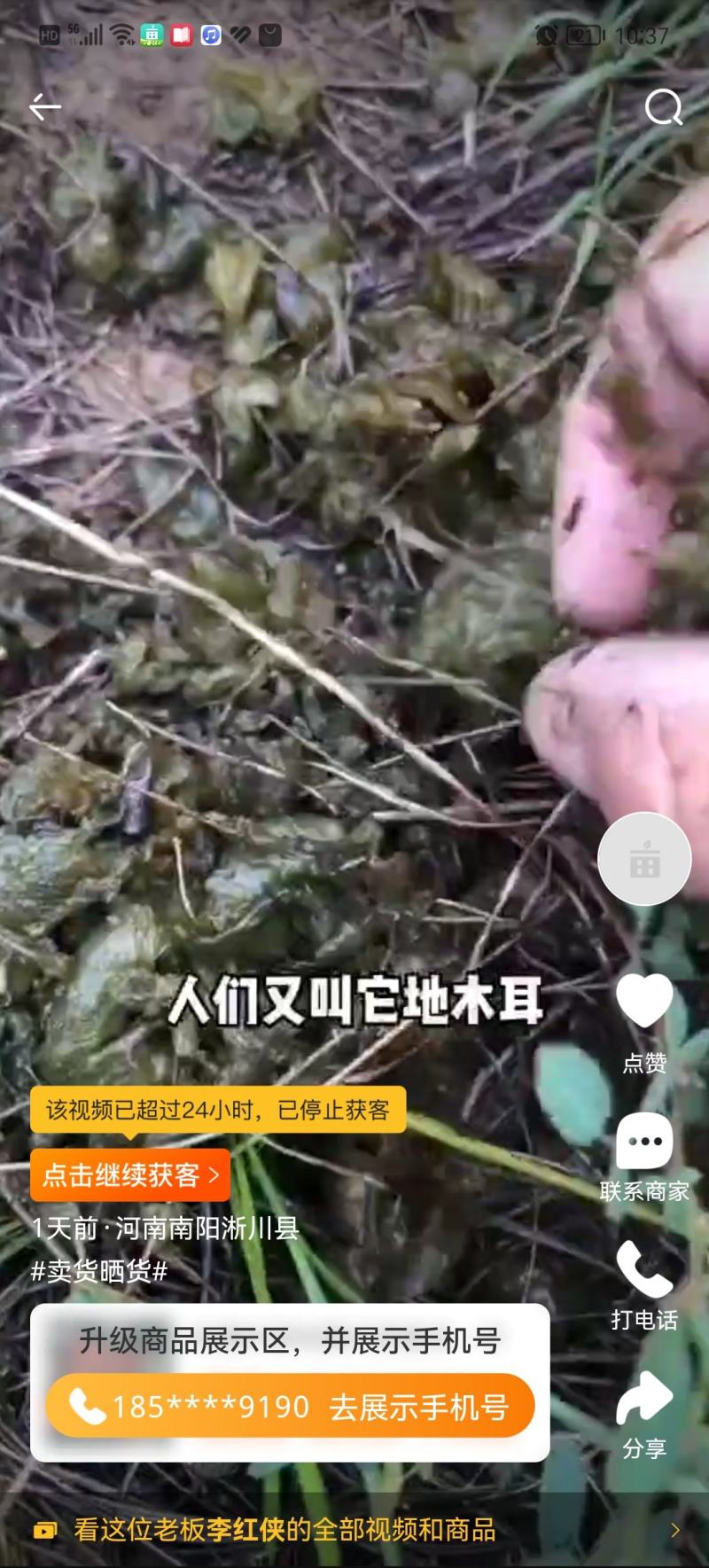 大量批发地皮菜地衣雷公菜地曲莲炒鸡蛋精品人工挑选保证大片
