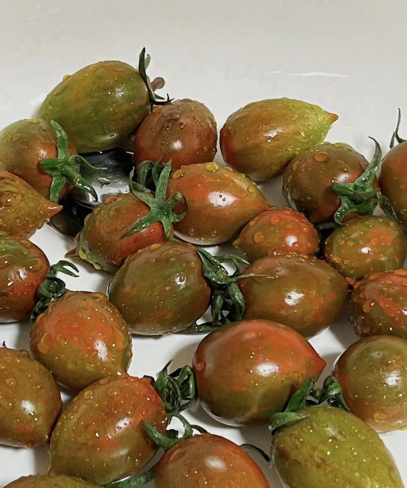 【一手货源】全国发货迷彩小番茄圣女果千禧樱桃番茄均可供应