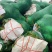 【推荐】湖北精品扁包菜大量上市量大从优价格便宜