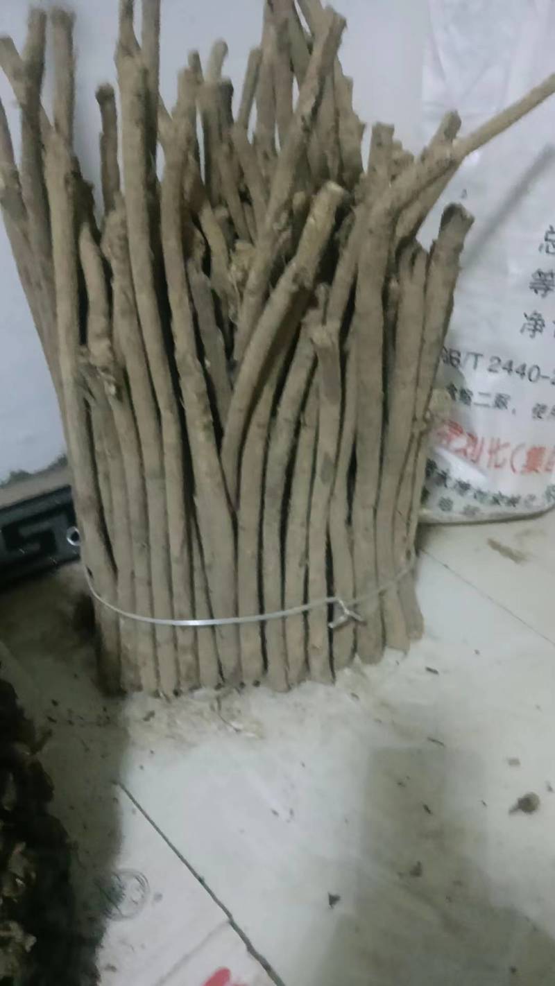 黄芪