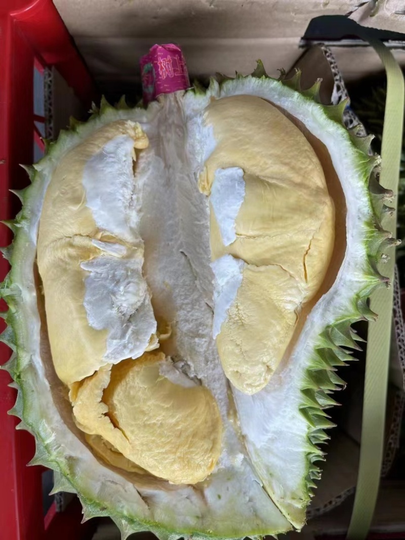 干尧榴莲批发，一手货源，量大从优长期供应欢迎老板对接