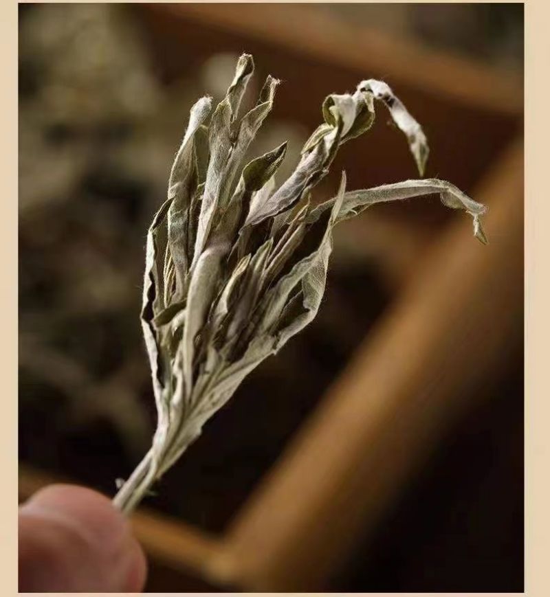 【热卖推荐】大量供应野生艾叶干艾草泡脚药包陈艾