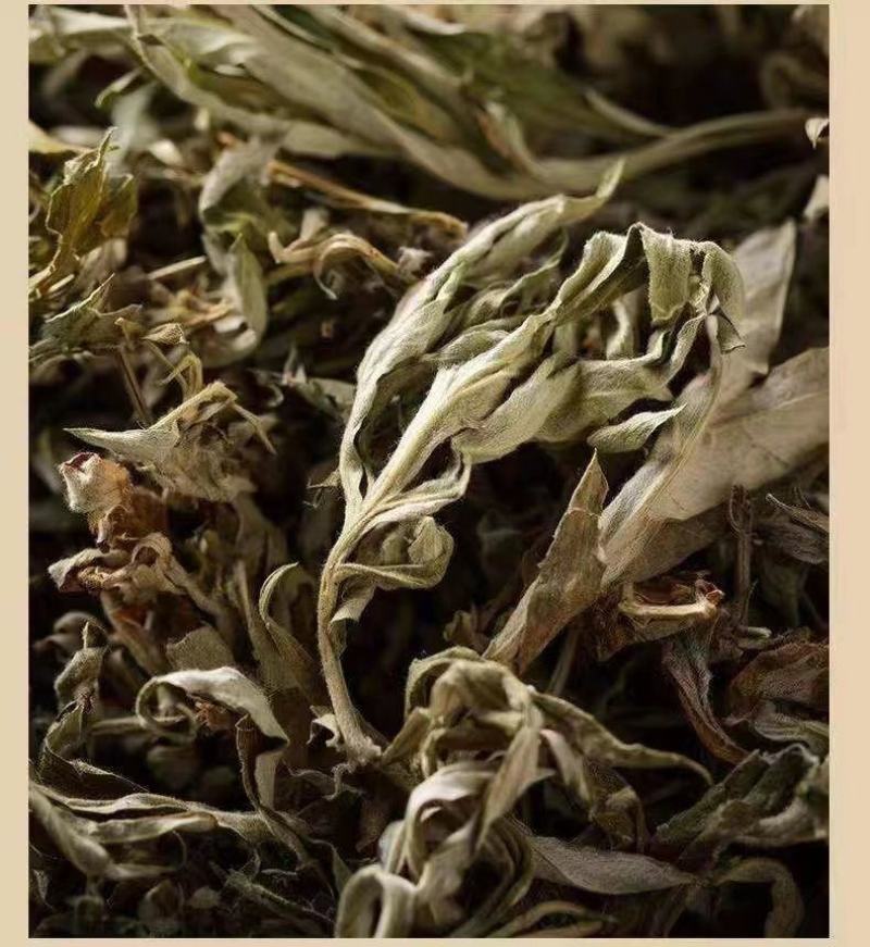 【热卖推荐】大量供应野生艾叶干艾草泡脚药包陈艾